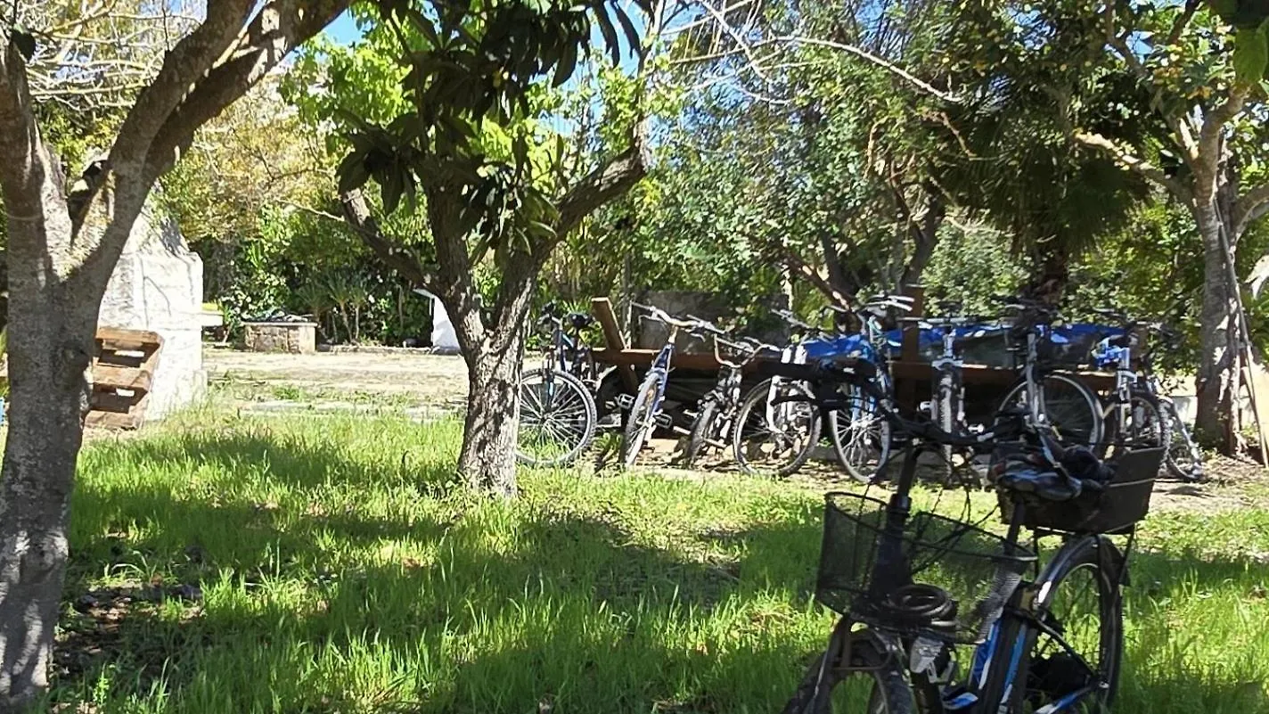 Bed & Breakfast Alghero In Bicicletta Italy